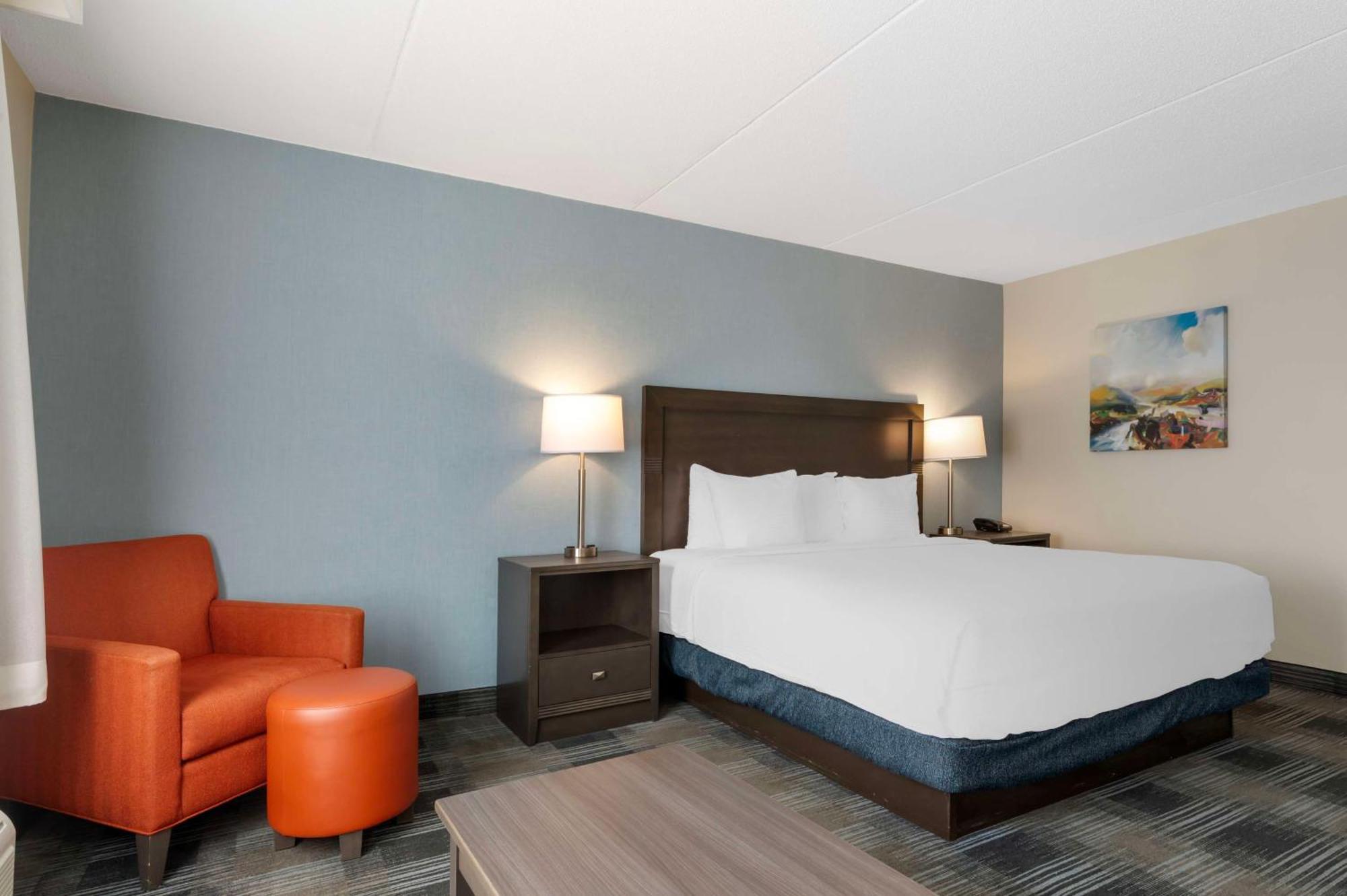 Mount Vernon Best Western Plus Alexandria Fort Belvoir מראה חיצוני תמונה