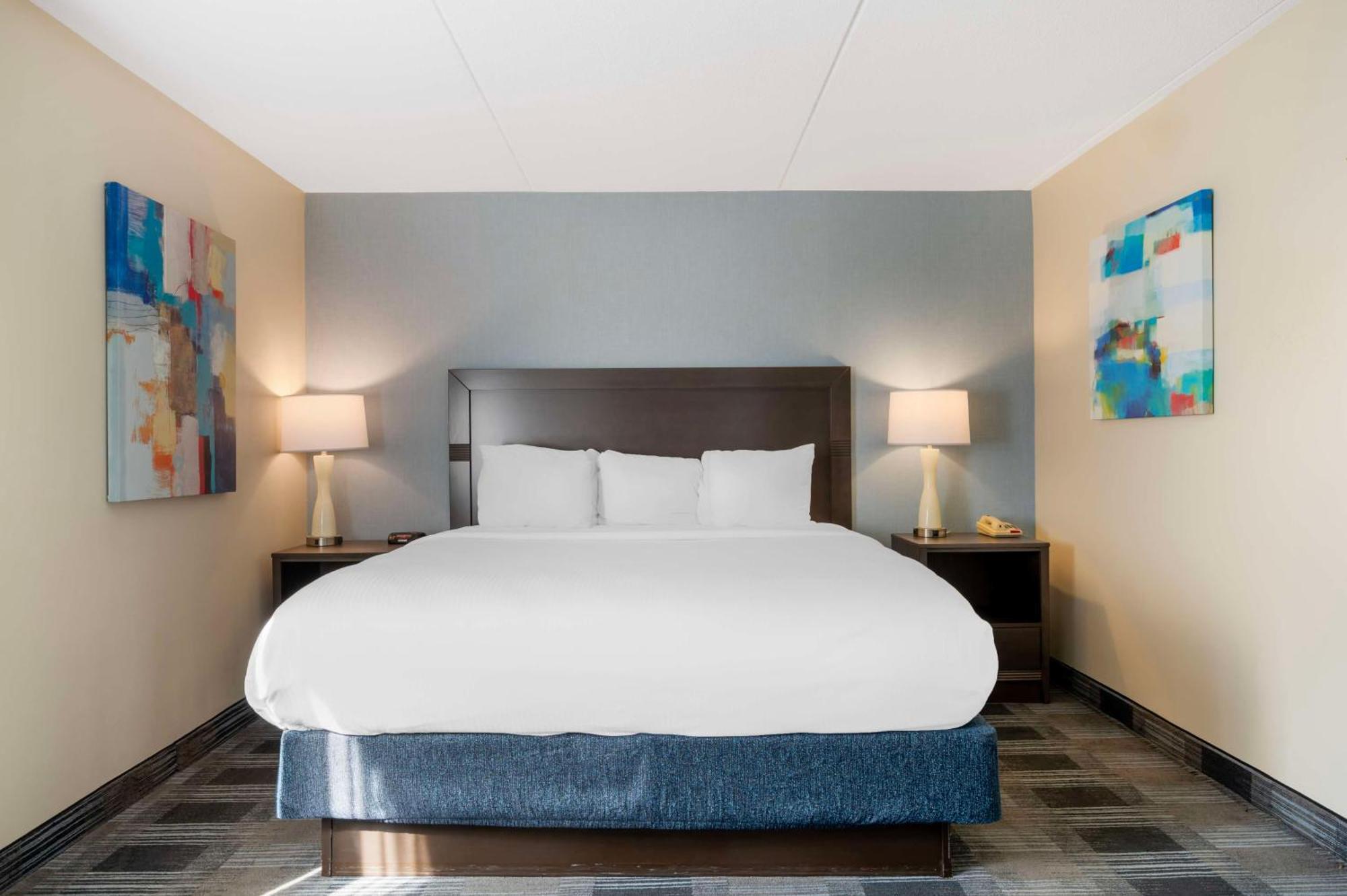 Mount Vernon Best Western Plus Alexandria Fort Belvoir מראה חיצוני תמונה