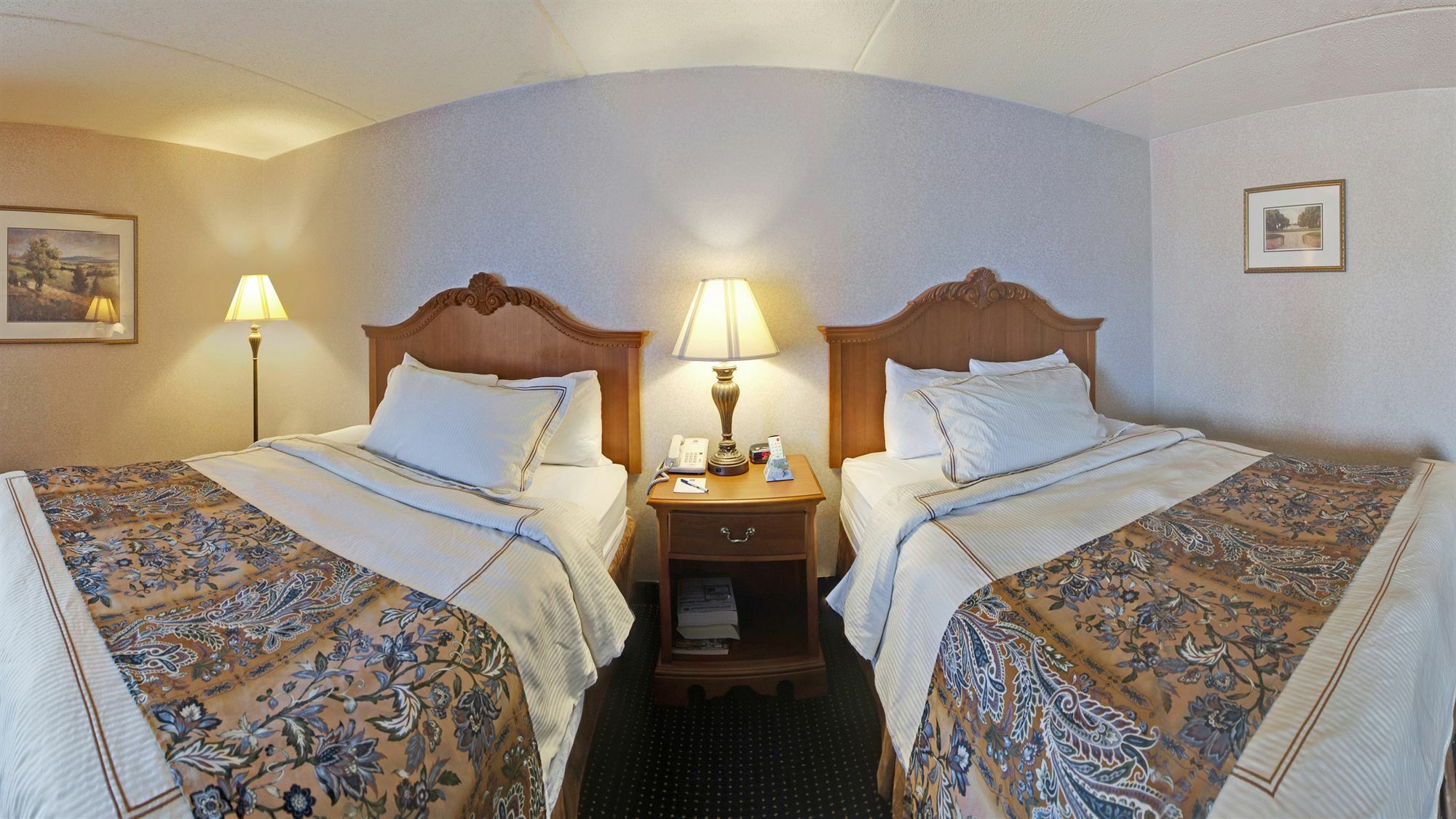 Mount Vernon Best Western Plus Alexandria Fort Belvoir מראה חיצוני תמונה